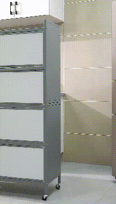 3113.gif.gif